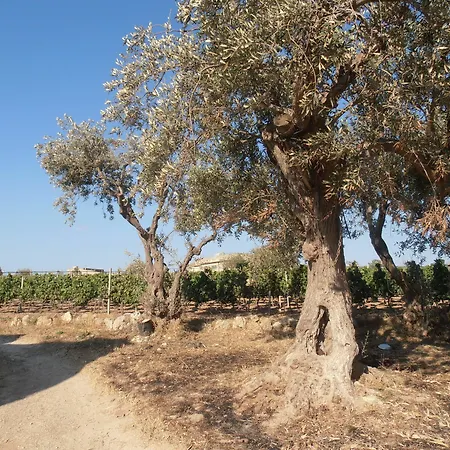 Ciriga Sicily Glamping-2